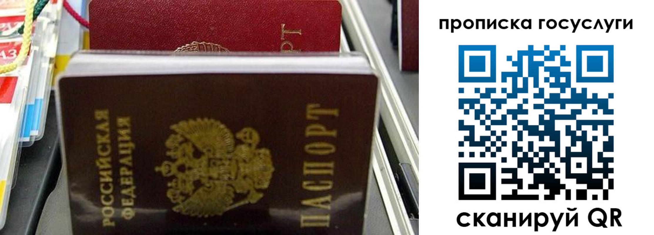 где прописаться в Дальнереченске
